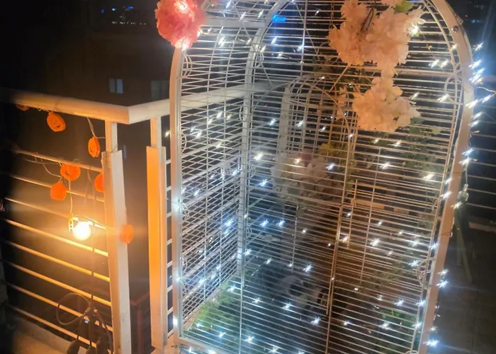 홍대 !!주차가능한!! 한강이 보이는 대형루프탑보유 Villa